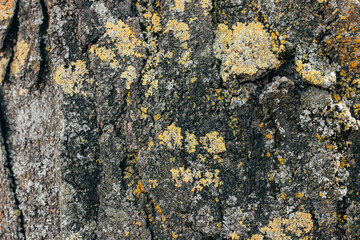 Textures. Things we usually don't notice.