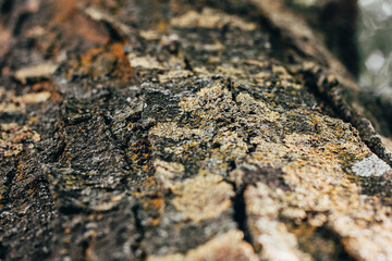 Textures. Things we usually don't notice.