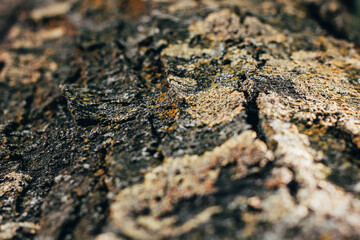 Textures. Things we usually don't notice.