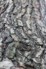 Textures. Things we usually don't notice.
