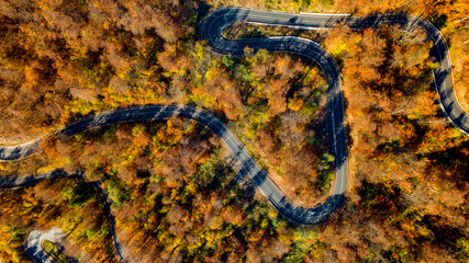 Obraz na płótnie Canvas aerial view of road with curves crossing dense forest in autumn colors. Aerial view, drone view