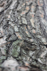 Textures. Things we usually don't notice.