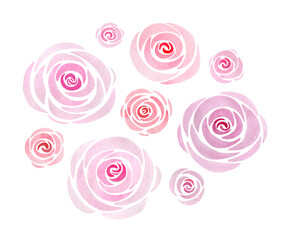 А set of lovely pink roses on white background