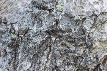 Textures. Things we usually don't notice.