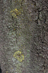 Textures. Things we usually don't notice.