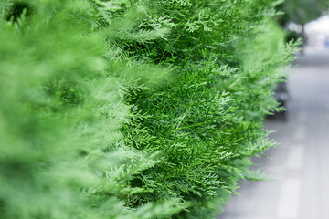 Textures. Things we usually don't notice.