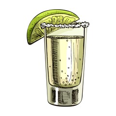 Glass tequila with slice lime. Vector vintage hatching