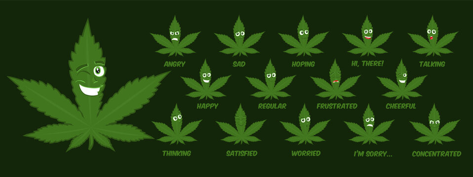 set of green cartoon mascot marijuanna/cannabis characters with various face expressions, vector flat illustration