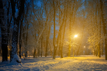 night winter park covered by a snow and lightened by alone lantern
