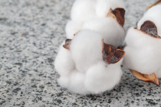 Twig of cotton flowers on stone surface, small depth of focus.