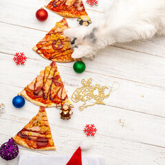 Christmas tree made from pieces of pizza and a white cat on a wooden background.