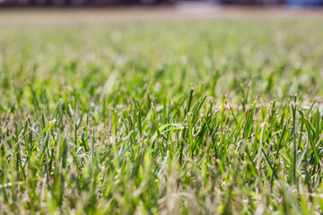 Textures. Things we usually don't notice.