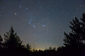 Orion constellation on a night sky above forest silhouette, night outdoor background