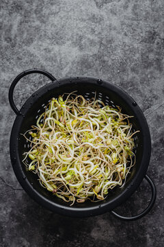 Mung bean sprouts
