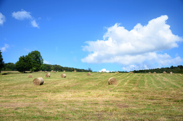 Beskid Niski letnie pole. Summer mountain landscape.  © photogam
