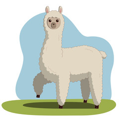 Color illustration. Cute funny character, fluffy curly alpaca on a blue and green background.