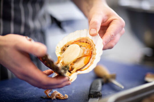 Preparing scallops