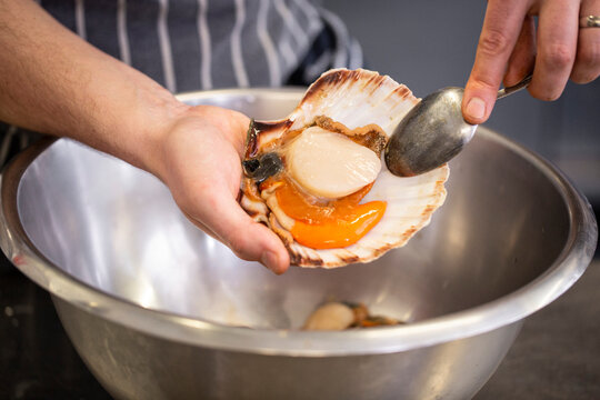 Preparing scallops