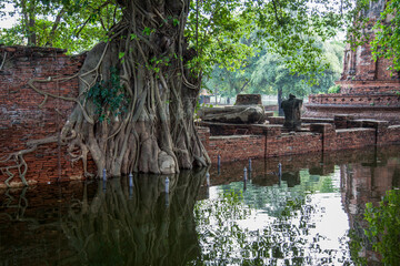 Wat Mahathat inondation Thaïlande avec la tête de buddha sous l'eau