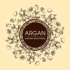 Frame with branch argan tree with fruits, nuts argans, leaves, flower argans Detailed hand-drawn sketches, vector botanical illustration.