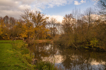 Autumn landscape with colorful fallen leaves and sky reflecting in tiny lake