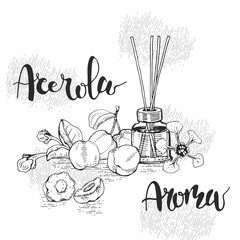 Still life with branch acerola cherry, fruit, flower and glass bottle with oil and accessories . Detailed hand-drawn sketches and lettering, vector botanical illustration.