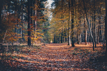 Ostseebad K&uuml;hlungsborn im Herbst