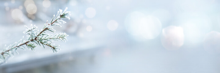 Winter background with frosted twig and bright bokeh for christmas greetings. Horizontal background...
