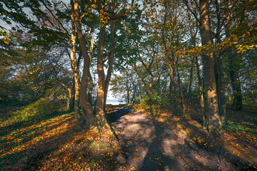 Ostseebad Kühlungsborn im Herbst