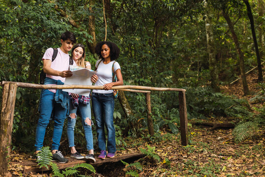 Multiracial Friends Reading A Map On A Walk Together In The Countryside - A Group Of Friends Stopped Along The Way In The Jungle To Read The Map.