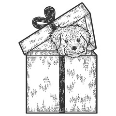Puppy in gift box. Engraving vector illustration. Sketch scratch board imitation.