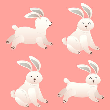 vector set cute rabbit. premium cute animal.