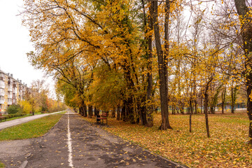 Fototapeta na wymiar Beautiful Colorful Autumn park and alley
