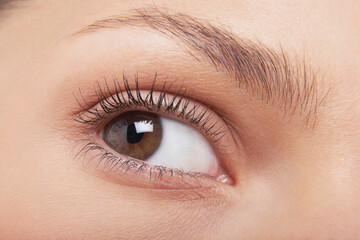 Obraz premium 12750088