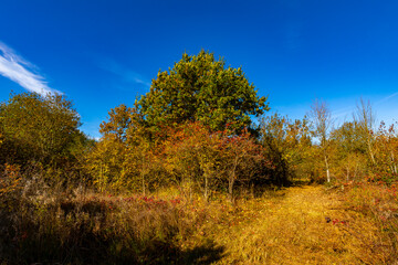 Fototapeta premium naturschutzgebiet