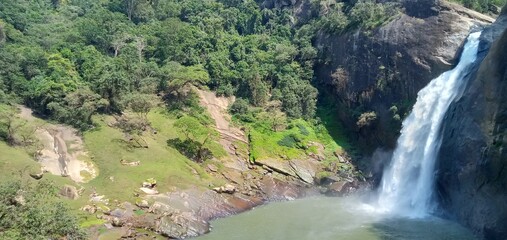 waterfall in the forest