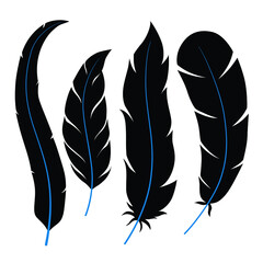 Vector black feathers of different shapes. Set of 4 stylized feather silhouettes. Elegant quill shapes. Editable colors