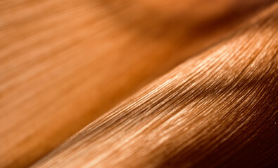 close up of a wooden board
