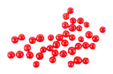 Red currant berries isolated on a white background, top view.