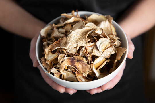 Hand picked dried wild porcini mushroom (boletus edulis)