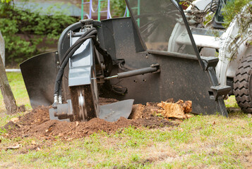 shredder for sawn wood