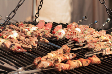 skewers to roast on the grill