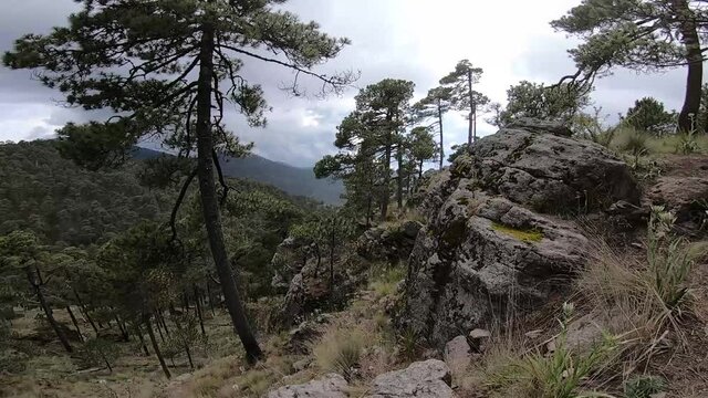 Monte Tlaloc, Estado de M&eacute;xico - November 10, 2020:road to the top of mount tlaloc mexico