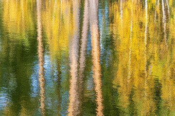 Abstract background of tree trunks blurred on the river surface.