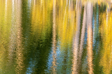 Abstract background of tree trunks blurred on the river surface.