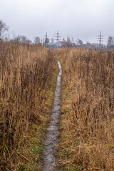 Narrow wet path among high dry yellow grass.