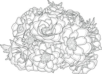 Realistic magnolia rose flowers bouquet sketch template. Graphic cartoon vector illustration in black and white for game, background, pattern, wallpaper, decor. Coloring paper, page, story book, print