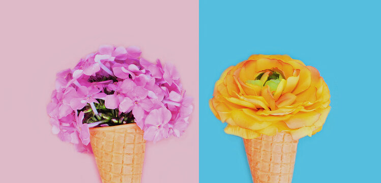 Close up image of two cone with flower buds as ice cream o