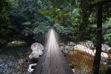 bridge over the river Jangle