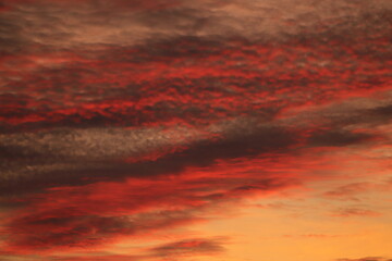 czerwone  chmury  zachodzącego  słońca  nad  miastem